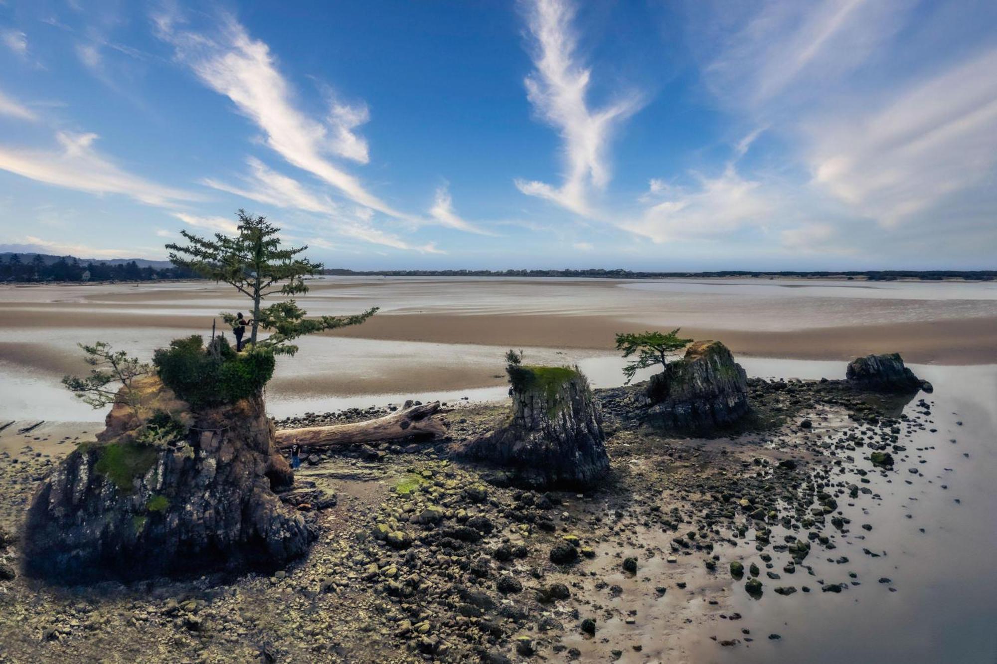 Waters Edge 207 Leilighet Lincoln City Eksteriør bilde